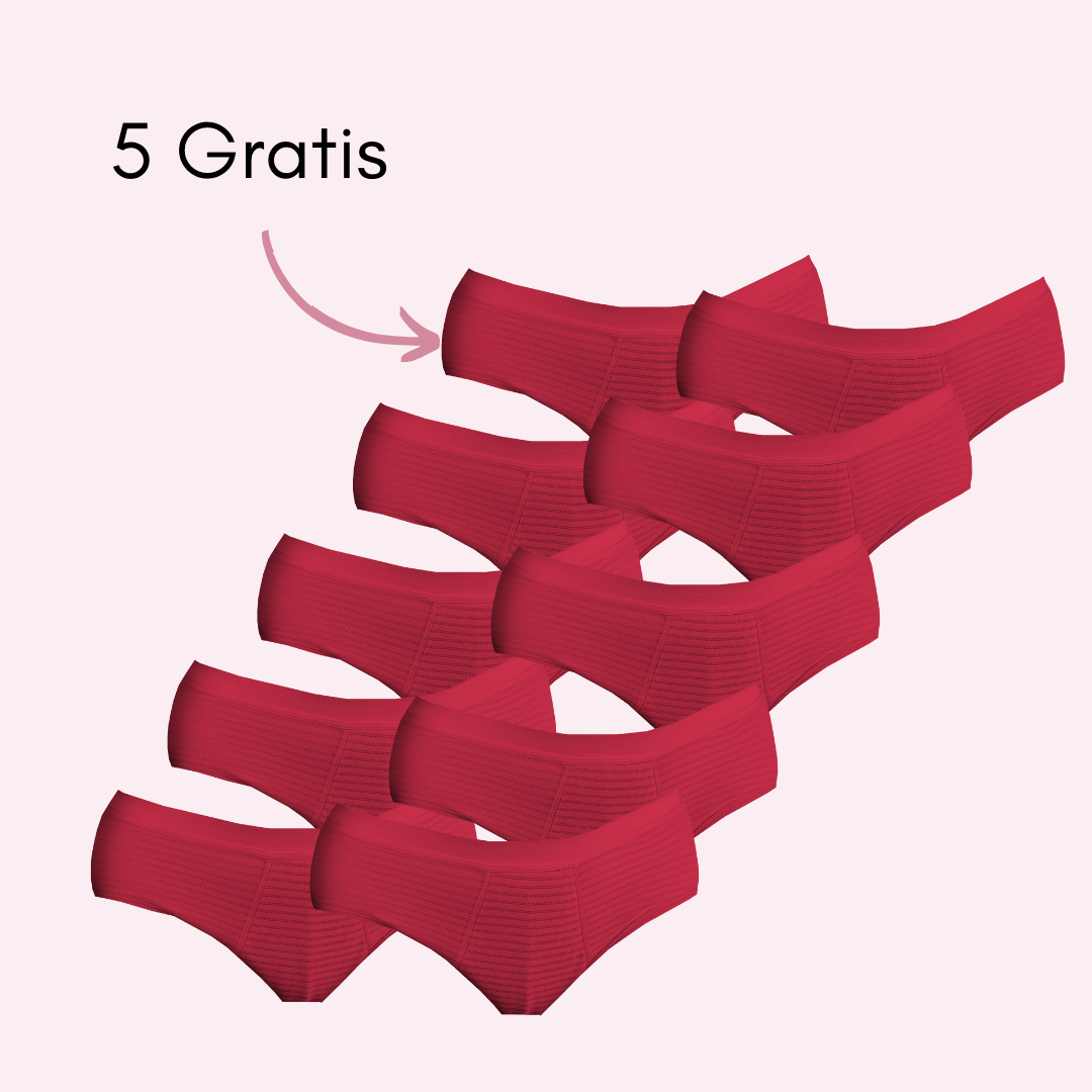 Braga Menstrual Julia (Nuevo)
